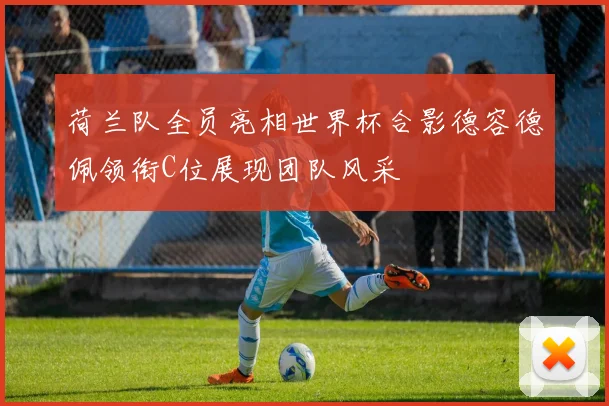 荷兰队全员亮相世界杯合影德容德佩领衔C位展现团队风采